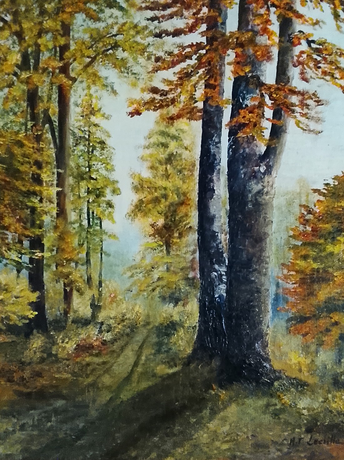 Sous-bois d'automne — huile sur toile, troncs majestueux et lumière dorée filtrant entre les feuillages